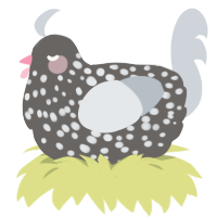 A grey and mist chicken with a speckle pattern