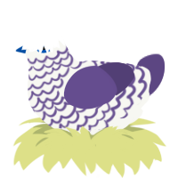 A white and overcast chicken with a lace pattern