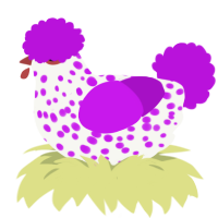 Purple Pompom, a white and amethyst chicken with a speckle pattern