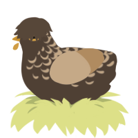 Macchiato, a bark and beige chicken with a half-lace pattern