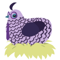 Das Fragezeichen, a lilac and navy chicken with a lace pattern