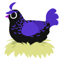 A black and indigo chicken with a half-lace pattern