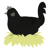 Angry void, a sable and black chicken with a lace pattern