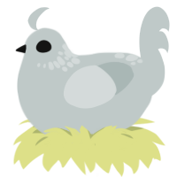 Memories of Majesty, a silver chicken with a neck-speckle pattern