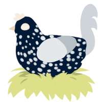 A tumblr and mist chicken with a speckle pattern