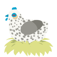 nora, a white and ash chicken with a speckle pattern