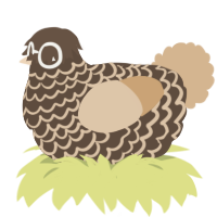 Chai, a bark and beige chicken with a lace pattern