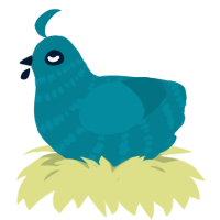 Holy Water Fountain, a sea chicken with a bar pattern