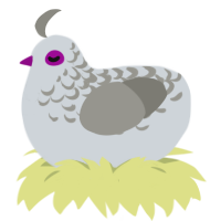 A mist and ash chicken with a half-lace pattern