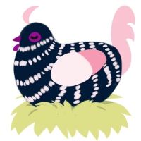 Rosewater, a tumblr and rose chicken with a bar pattern