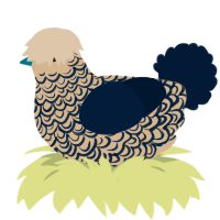 A beige and tumblr chicken with a double-lace pattern