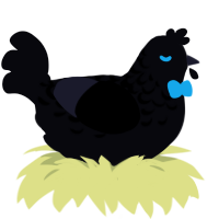 A white chicken with a half-lace pattern