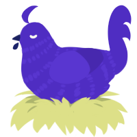 wait, a indigo chicken with a bar pattern