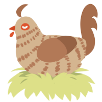Dune, a beige and brown chicken with a bar pattern