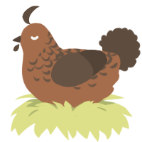 A brown and bark chicken with a half-lace pattern