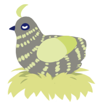 A ash and lemon chicken with a bar pattern