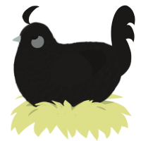 The Narrator, a sable chicken with a lace pattern