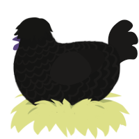 A black and sable chicken with a lace pattern