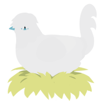 Let Down, a black chicken with a head pattern