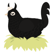 Voice of the Hero, a black and sable chicken with a lace pattern