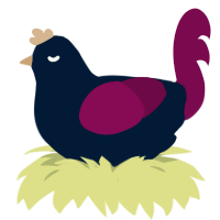 awfuly hot coffe pot, a tumblr and wine chicken
