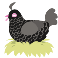 A sable and grey chicken with a lace pattern