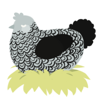 A silver and black chicken with a double-lace pattern