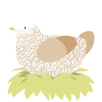 Tiratiramisumisu, a white and beige chicken with a double-lace pattern