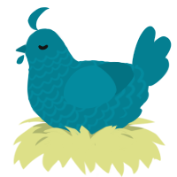 mariana, a sea chicken with a lace pattern