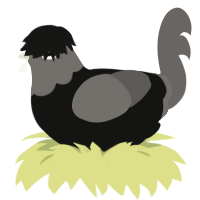 A black and grey chicken with a head pattern
