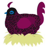 A black and wine chicken with a double-lace pattern