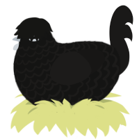 Hazel, a black and sable chicken with a lace pattern