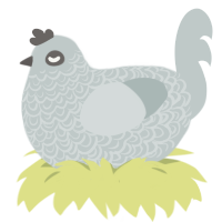Flurry, a silver chicken with a double-lace pattern