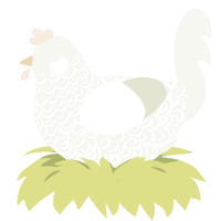 A white chicken with a double-lace pattern