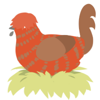 A vermilion and brown chicken with a bar pattern