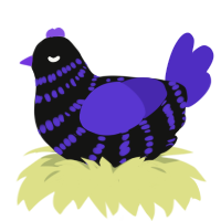 Mx Sinister, a black and indigo chicken with a bar pattern