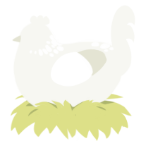 A white chicken with a neck-speckle pattern