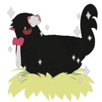 A black chicken with a lace pattern