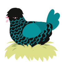 A black and teal chicken with a lace pattern