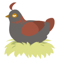 terracotta pot, a grey and russet chicken with a neck-speckle pattern