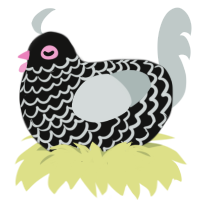A black and silver chicken with a lace pattern