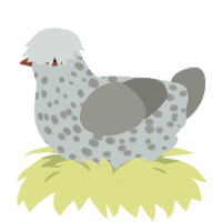 A silver and ash chicken with a speckle pattern