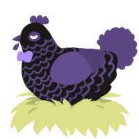 Goth, a sable and overcast chicken with a lace pattern