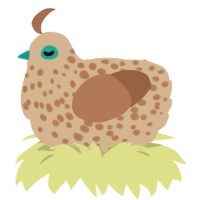 A beige and brown chicken with a speckle pattern