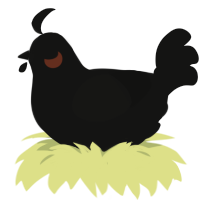 Sagittarius A, a black chicken
