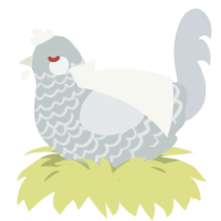 A silver and mist chicken with a lace pattern