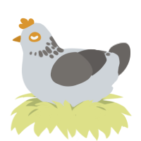 A mist and grey chicken with a neck-speckle pattern
