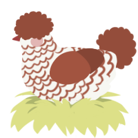 A white and russet chicken with a lace pattern
