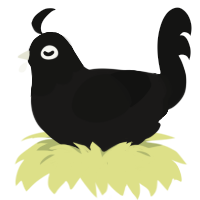 Flicker in the Night, a sable and black chicken with a head pattern
