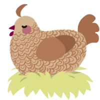 A beige and brown chicken with a double-lace pattern